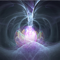 Lotus Field Lotus Field