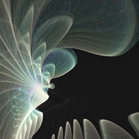 Fields of Energy I Fields of Energy I