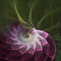 Radiant Flow Radiant Flow