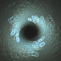 Into the Abyss Into the Abyss